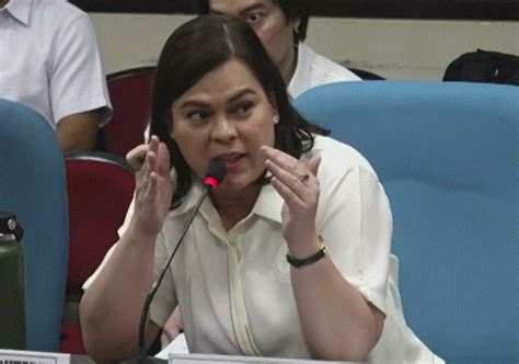 House panel defers deliberations on OVP budget .